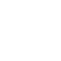 Зарубежная реализация