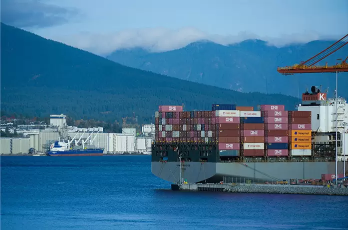 Услуги морских грузоперевозок &laquo;от двери до двери&raquo; для международной торговли.